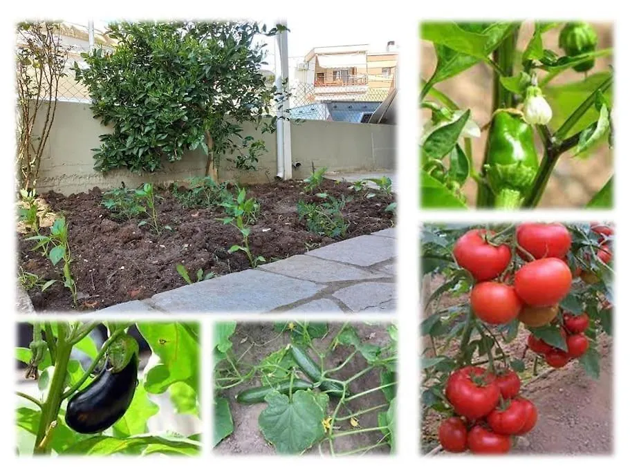 Gaia Cottage With Garden Epanomi Grekland